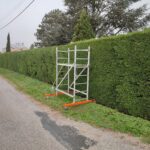 Mario Elagage - Elagage d'ornement