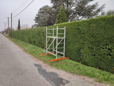 Mario Elagage - Elagage d'ornement